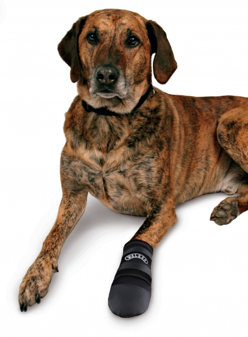 Trixie Walker Care Pfotenschutz – Bild 4