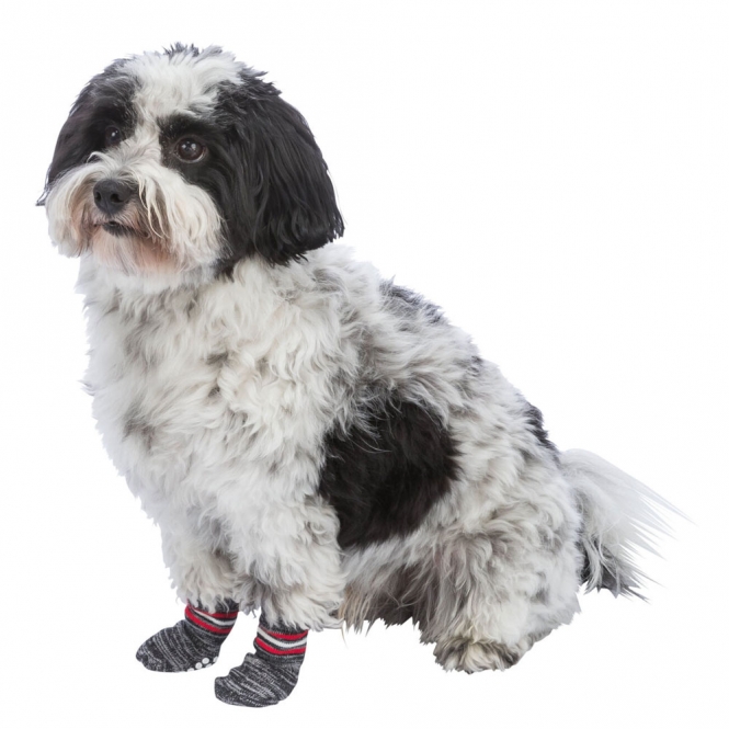 Trixie Hundesocken – Bild 3