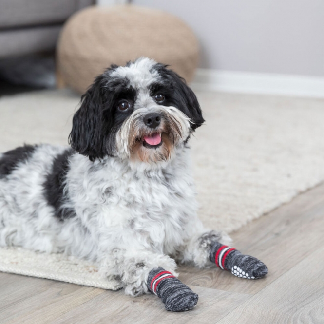 Trixie Hundesocken – Bild 4