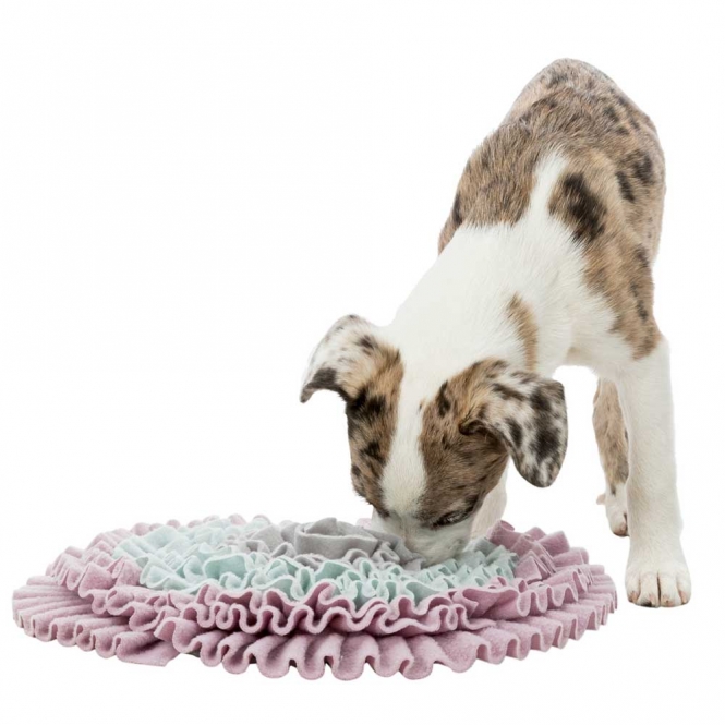 Trixie Junior Schnüffelteppich - 38 cm – Bild 5