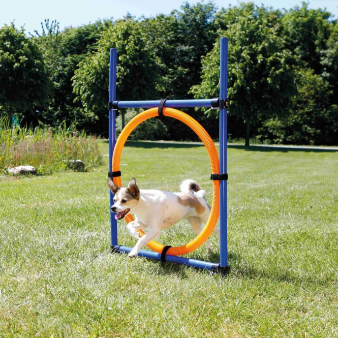Trixie Agility Ring – Bild 2