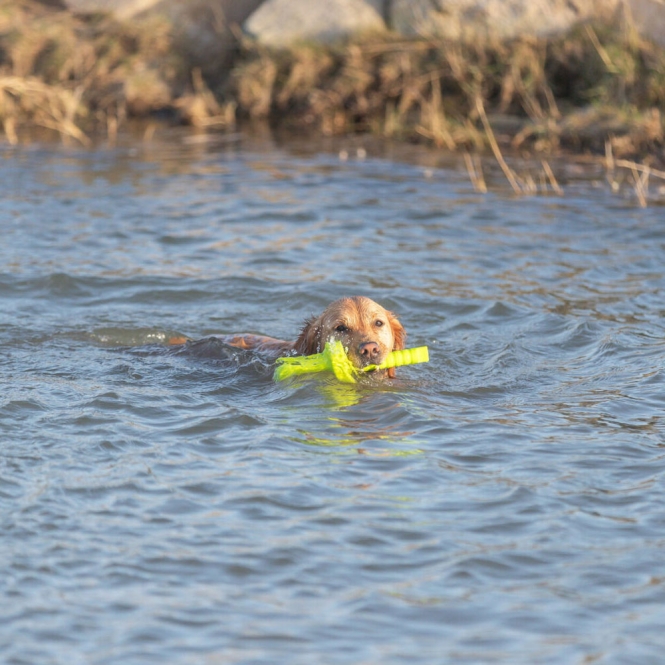 Trixie Aqua Toy MOT®-Aqua – Bild 5
