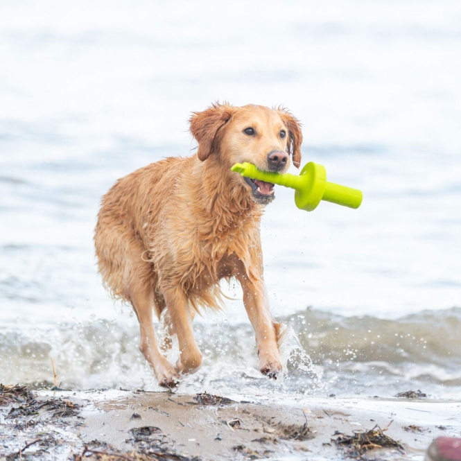 Trixie Aqua Toy MOT®-Aqua – Bild 6