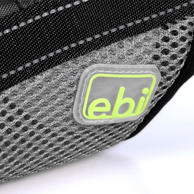 EBI Netz – Bild 3