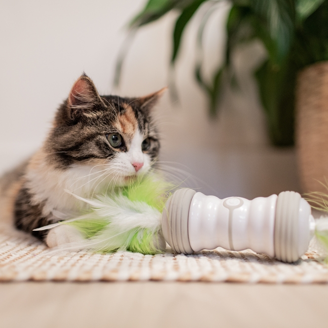 EBI Cat Toy Double Spinner - weiß/grün – Bild 3