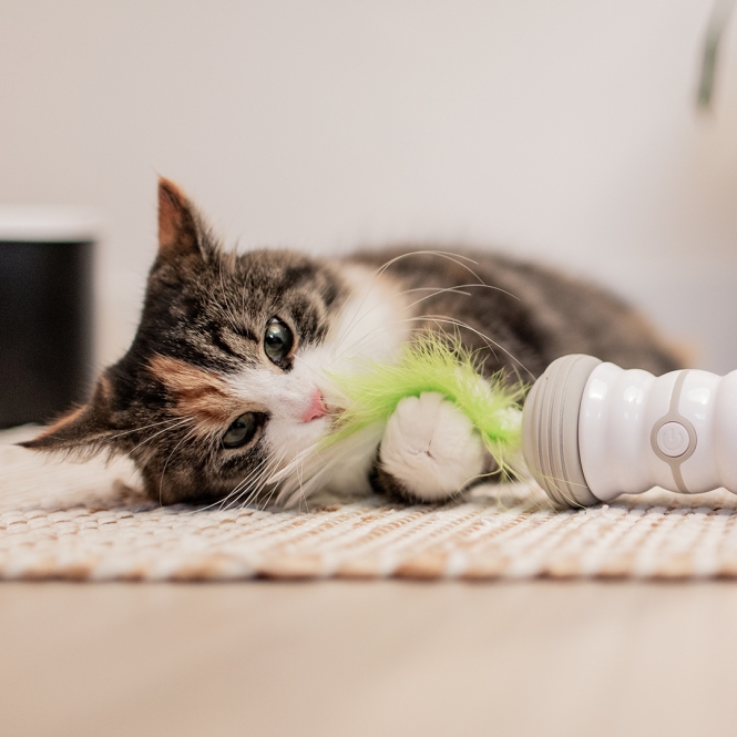 EBI Cat Toy Double Spinner - weiß/grün – Bild 4