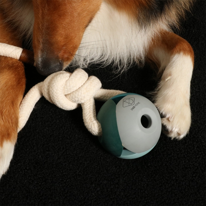 D&D Hundespielzeug Nora - lagoon – Bild 4