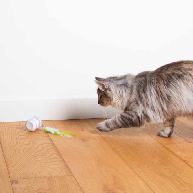 EBI Cat Toy Racing Roller – Bild 5