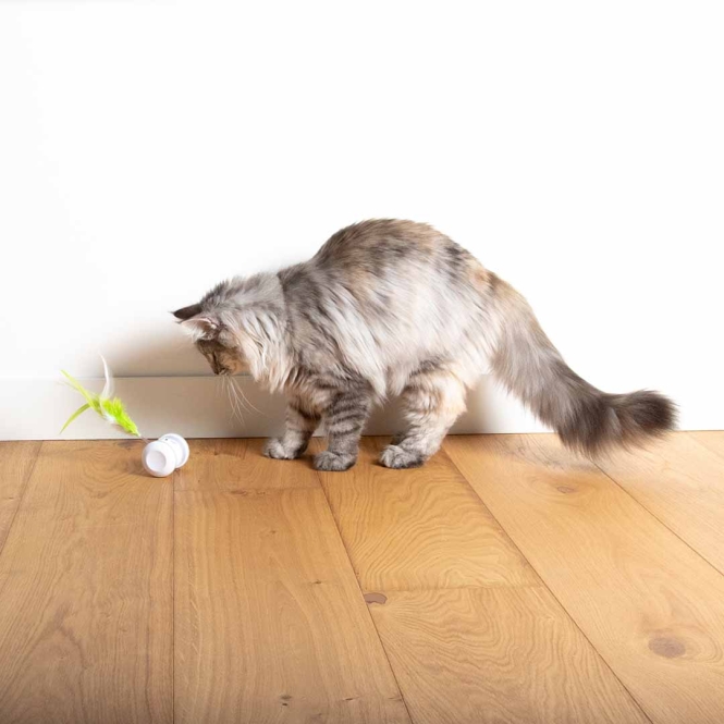 EBI Cat Toy Racing Roller – Bild 6