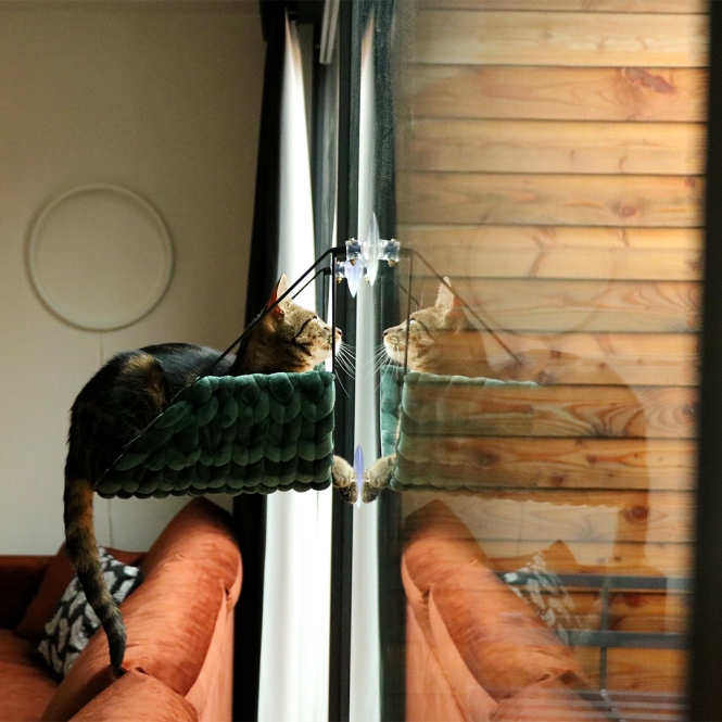 D&D Fensterbett Sofia - Grün – Bild 2