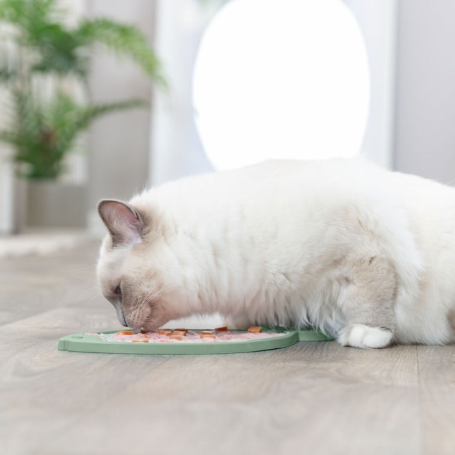 Trixie Lick'n'Snack Matte Fisch für Katzen – Bild 4