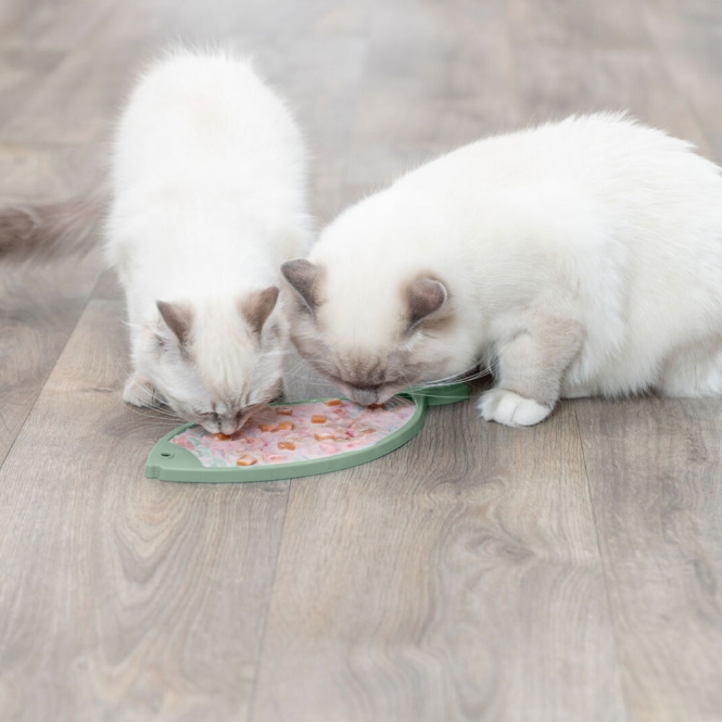 Trixie Lick'n'Snack Matte Fisch für Katzen – Bild 5