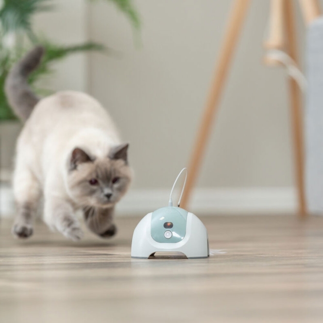 Trixie Katzenspielzeug CATCH ME mit Motor/Fernbedienung – Bild 5