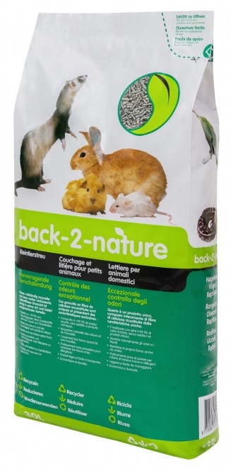 Back – Bild 2