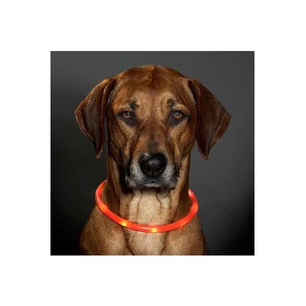 Karlie Visio Light LED-Leuchtschlauch mit USB - Orange – Bild 3