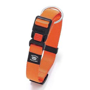 Karlie ASP Halsband verstellbar - Orange - 10 mm, 20