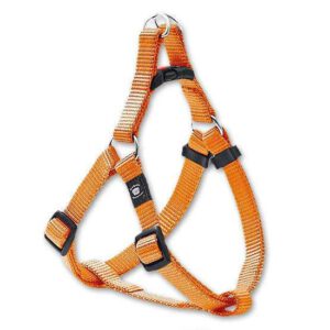 Karlie ASP Step&Go Geschirr - Orange - 10 mm, 36