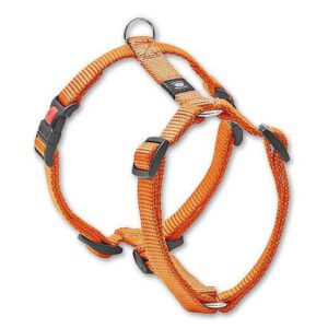 Karlie ASP Geschirr - Orange - 10 mm, 25